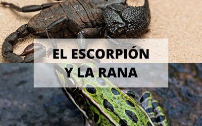 El cuento del escorpión y la rana, conoce tu verdadera naturaleza