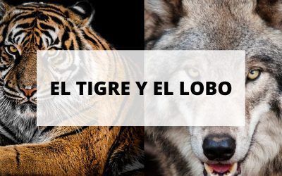 El cuento del tigre y el lobo: No te conviertas en víctima