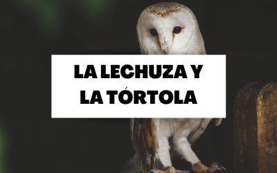El cuento de la lechuza y la tórtola: O lo asumes o cambias