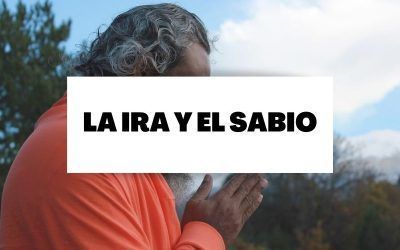 El cuento de la ira y el sabio: Aprende a diferenciar entre lo que pertenece a tu naturaleza y lo que no