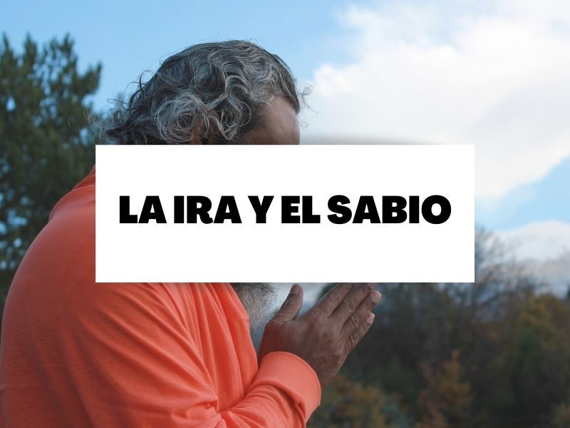 portada-cuento-ira-sabio